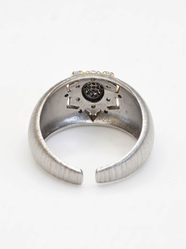 Nisha Ring